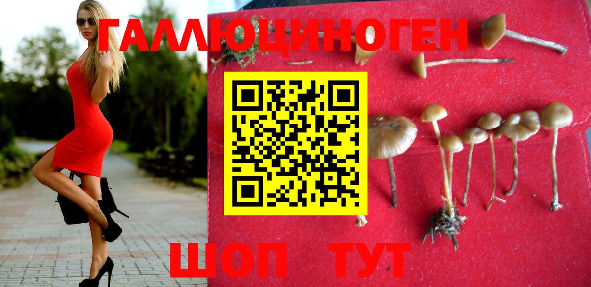 Грязи  Галлюциногенные грибы мицелий  Вход с VPN 